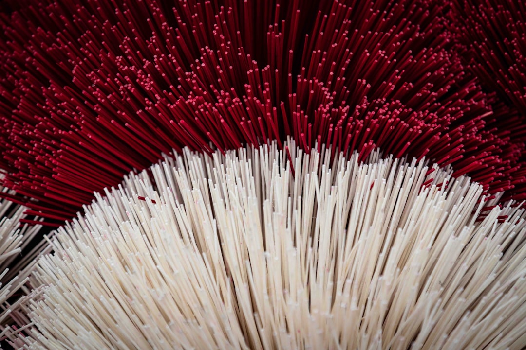 How to Keep Your Home Sparkling Clean with Minimal Effort